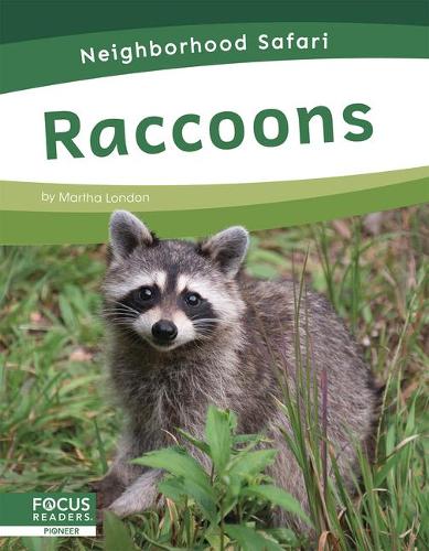Бумажная книга «Raccoons», автор Марта Лондон - фото №1