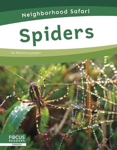Бумажная книга «Spiders», автор Марта Лондон - фото №1