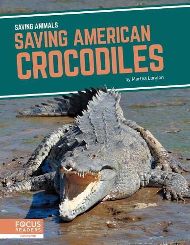 Бумажная книга «Saving American Crocodiles», автор Марта Лондон - фото №1