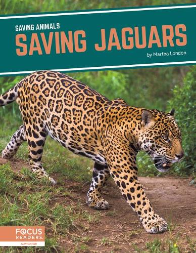 Бумажная книга «Saving Jaguars», автор Марта Лондон - фото №1