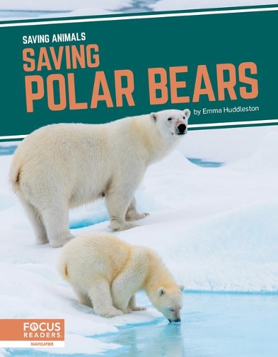 Паперова книга «Saving Polar Bears», автор Емма Хаддлстон - фото №1