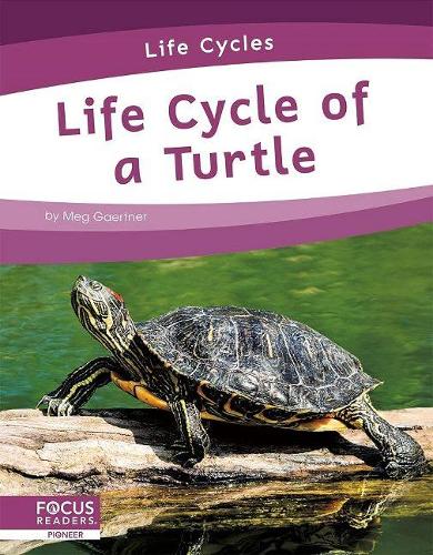 [object Object] «Life Cycle of a Turtle», автор Мег Гаертнер - фото №1