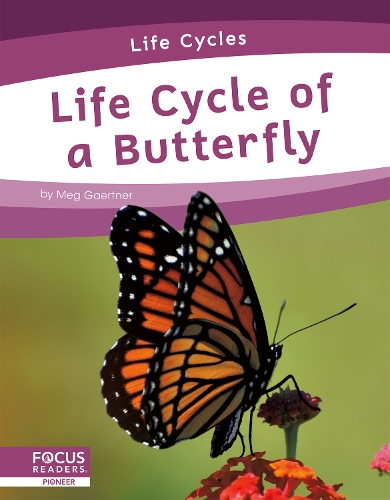 Бумажная книга «Life Cycle of a Butterfly», автор Мег Гаертнер - фото №1