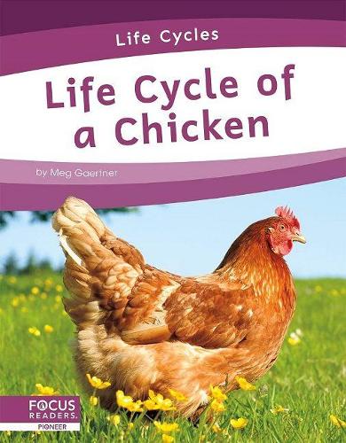 Бумажная книга «Life Cycle of a Chicken», автор Мег Гаертнер - фото №1