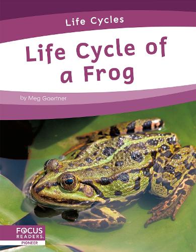 Паперова книга «Life Cycle of a Frog», автор Мег Гаертнер - фото №1