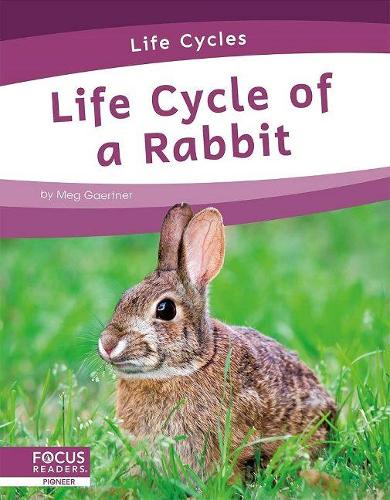 [object Object] «Life Cycle of a Rabbit», автор Мег Гаертнер - фото №1