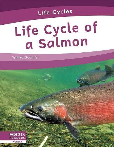 Бумажная книга «Life Cycle of a Salmon», автор Мег Гаертнер - фото №1