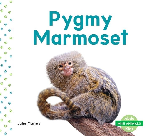 Бумажная книга «Mini Animals: Pygmy Marmoset», автор Джули Мюррей - фото №1
