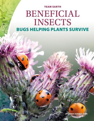 Паперова книга «Beneficial Insects», автор Емма Хаддлстон - фото №1