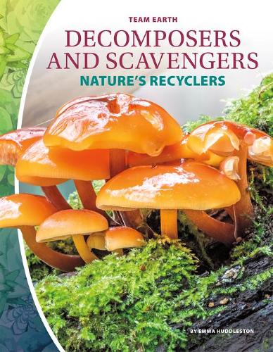 Бумажная книга «Decomposers and Scavengers», автор Эмма Хаддлстон - фото №1