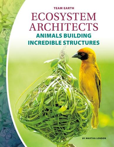 Паперова книга «Ecosystem Architects», автор Марта Лондон - фото №1