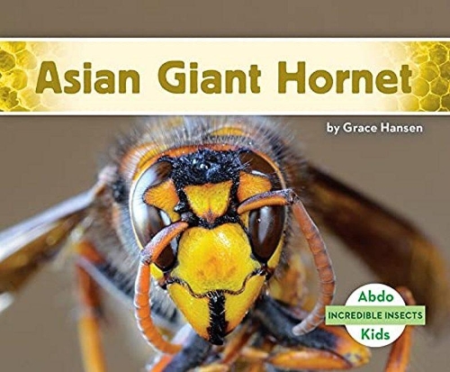 Бумажная книга «Asian Giant Hornet», автор Грейс Хансен - фото №1