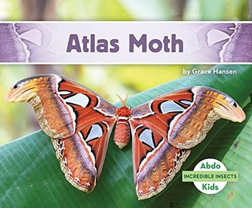 Паперова книга «Atlas Moth», автор Грейс Хансен - фото №1