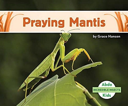 Паперова книга «Praying Mantis», автор Грейс Хансен - фото №1