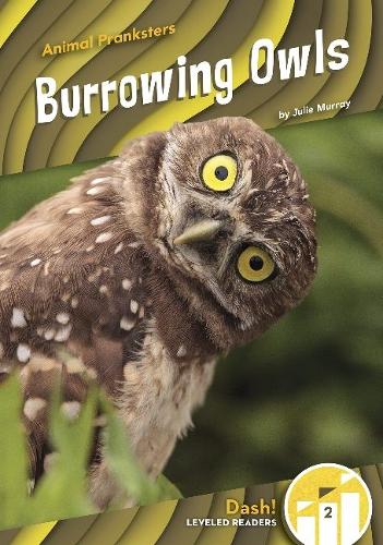 Бумажная книга «Burrowing Owls», автор Джули Мюррей - фото №1