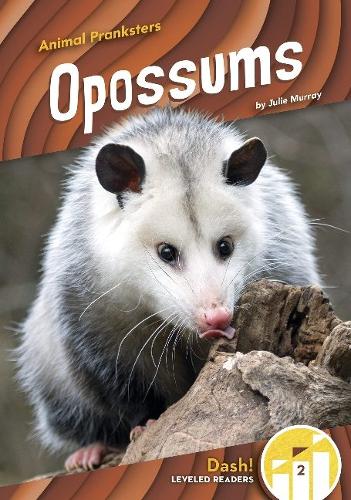 Паперова книга «Opossums», автор Джулі Мюррей - фото №1