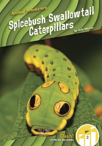 Бумажная книга «Spicebush Swallowtail Caterpillars», автор Джули Мюррей - фото №1
