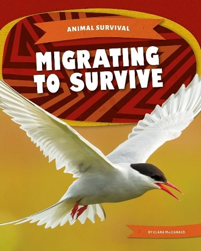 Бумажная книга «Migrating to Survive», автор Клара Маккаральд - фото №1