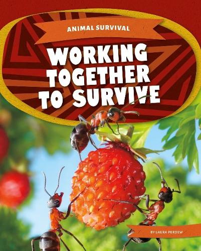 Паперова книга «Working Together to Survive», автор Лаура Пердью - фото №1