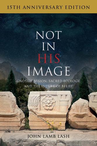 Бумажная книга «Not in His Image (15th Anniversary Edition): Gnostic Vision, Sacred Ecology, and the Future of Belief», автор Джон Лэмб Лэш - фото №1