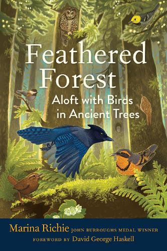 Бумажная книга «Feathered Forest: Aloft with Birds in Ancient Trees», авторов Дэвид Джордж Хаскелл, Марина Ричи - фото №1