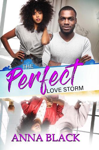 Паперова книга «The Perfect Love Storm», автор Анна Блек - фото №1