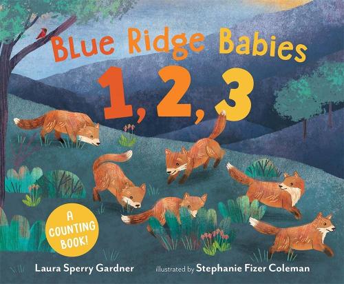 Паперова книга «Blue Ridge Babies 1, 2, 3: A Counting Book», автор Лора Сперрі Гарднер - фото №1