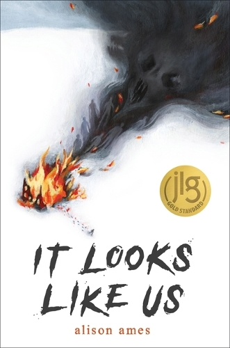 Паперова книга «It Looks Like Us», автор Елісон Еймс - фото №1
