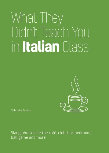 Бумажная книга «What They Didn't Teach You In Italian Class», авторов Эрин Койн, Игорь Фисун - фото №1