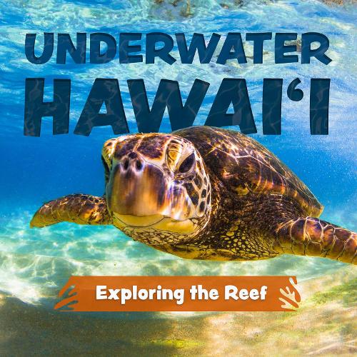 Бумажная книга «Underwater Hawai'i: Exploring the Reef: A Children's Picture Book about Hawai'i», автор Кит Ригерт - фото №1