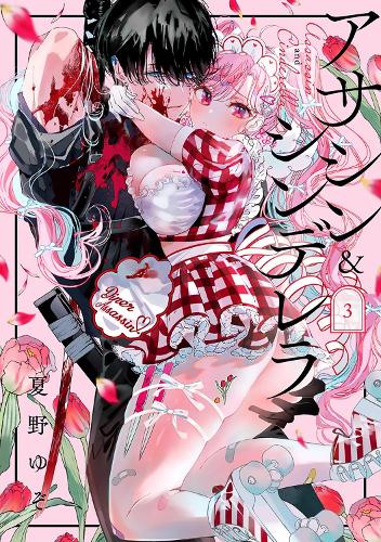 Паперова книга «Assassin & Cinderella 03», автор Юдзо Нацуно - фото №1