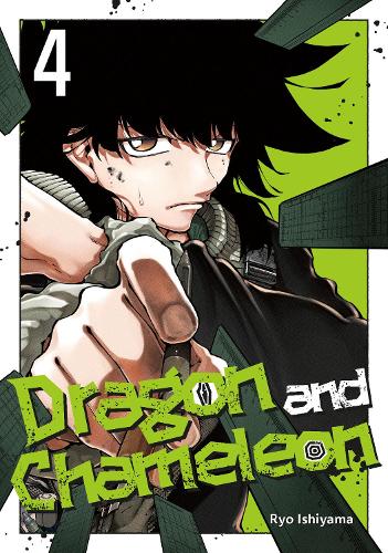 Бумажная книга «Dragon and Chameleon 04», автор Рё Ишияма - фото №1