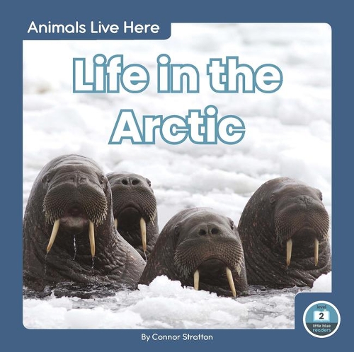 Паперова книга «Life in the Arctic», автор Коннор Страттон - фото №1