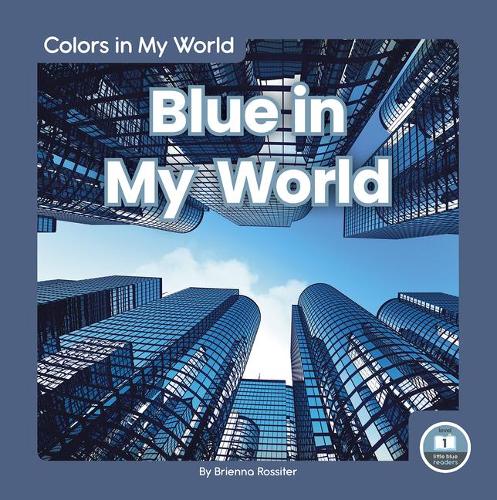 Паперова книга «Blue in My World», автор Брієнна Россітер - фото №1