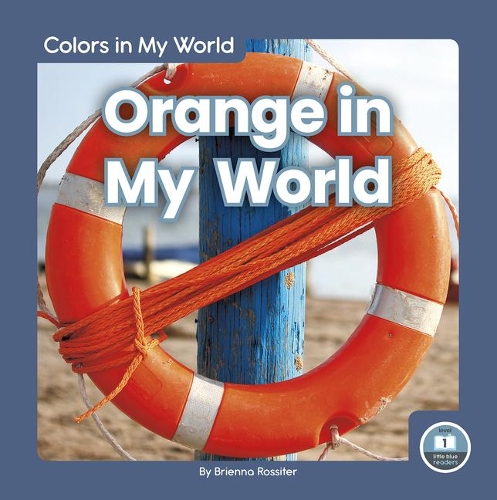 Паперова книга «Orange in My World», автор Брієнна Россітер - фото №1
