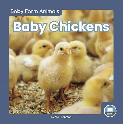 Бумажная книга «Baby Chickens», автор Ник Ребман - фото №1