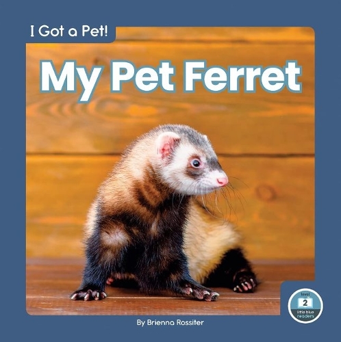 Бумажная книга «My Pet Ferret», автор Бриенна Росситер - фото №1