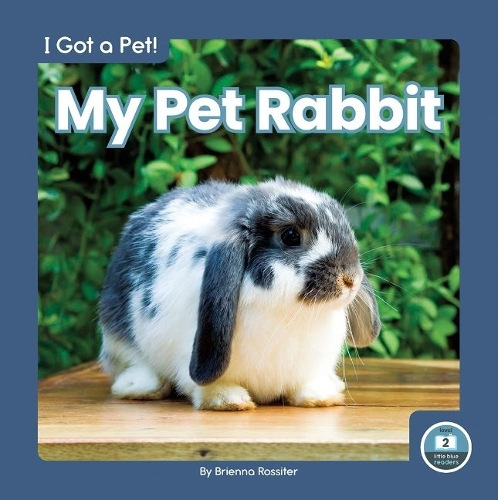 Бумажная книга «My Pet Rabbit», автор Бриенна Росситер - фото №1
