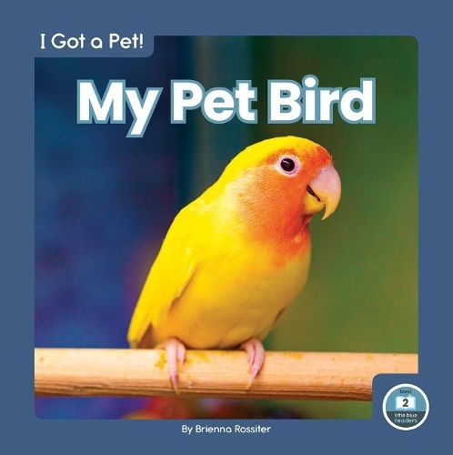 Бумажная книга «My Pet Bird», автор Бриенна Росситер - фото №1