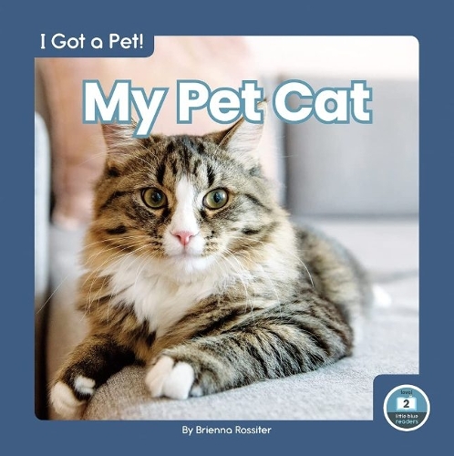 Бумажная книга «My Pet Cat», автор Бриенна Росситер - фото №1