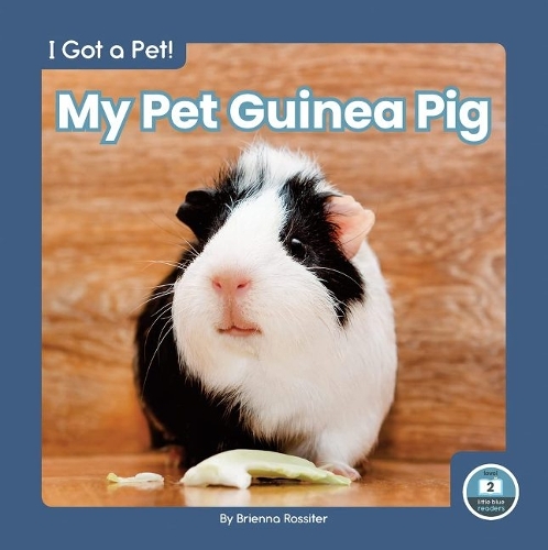 Бумажная книга «My Pet Guinea Pig», автор Бриенна Росситер - фото №1