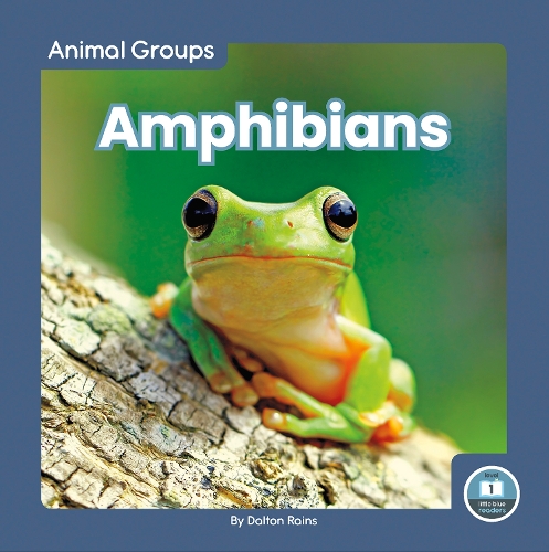 Паперова книга «Amphibians», автор Далтон Рейнс - фото №1