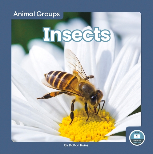 Паперова книга «Insects», автор Далтон Рейнс - фото №1