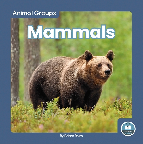 Паперова книга «Mammals», автор Далтон Рейнс - фото №1