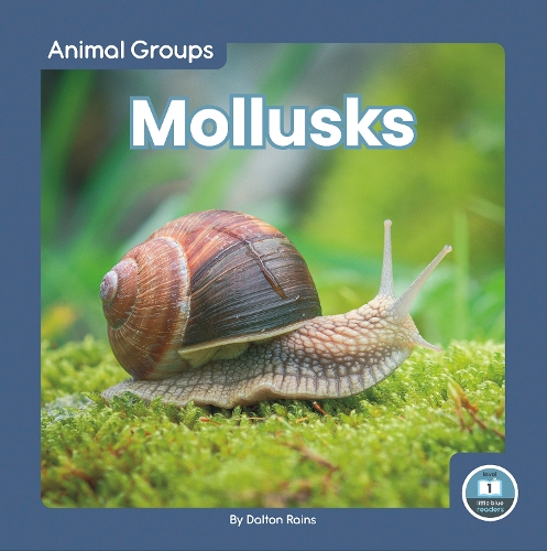Паперова книга «Mollusks», автор Далтон Рейнс - фото №1