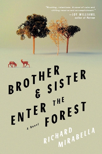 Паперова книга «Brother & Sister Enter the Forest», автор Річард Мірабелла - фото №1