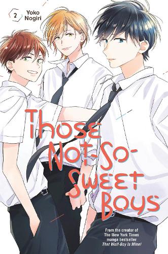 Паперова книга «Those Not-So-Sweet Boys 2», автор Йоко Ногірі - фото №1