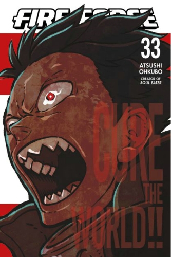Паперова книга «Fire Force 33», автор Ацуші Окубо - фото №1