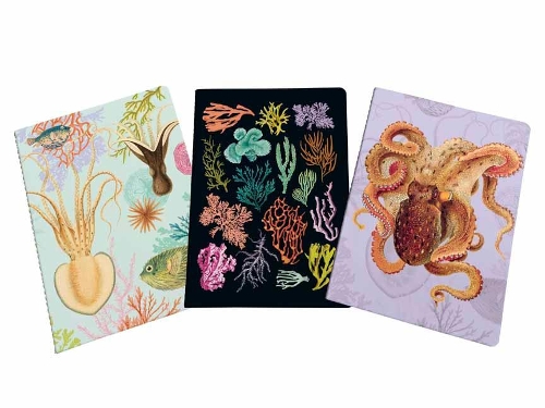 Паперова книга «Art of Nature: Under the Sea Sewn Notebook Collection», автор Insight Editions - фото №1