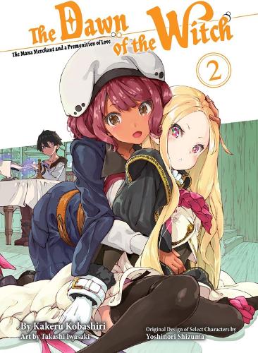Бумажная книга «The Dawn Of The Witch 2 (light Novel)», автор Какеру Кобашири - фото №1
